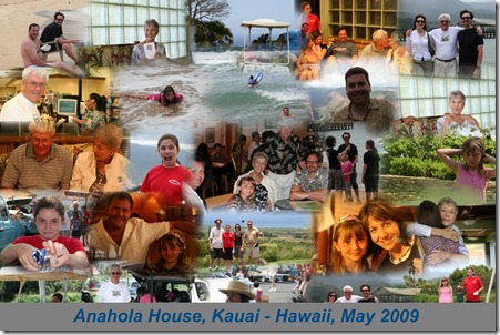 2008-hawaii-auto-collage4-highres