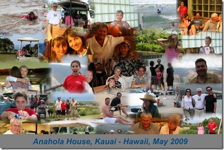 2008-hawaii-auto-collage5-high-res